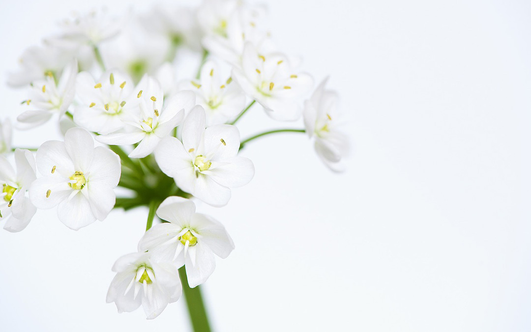 How to clean and care for a mattress